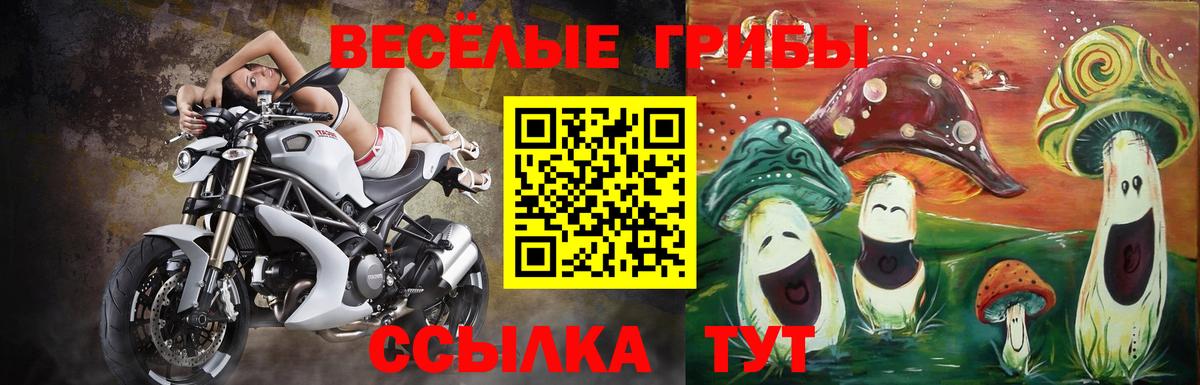 Городец  Галлюциногенные грибы GOLDEN TEACHER  Вход с VPN  Галлюциногенные грибы Psilocybine cubensis 